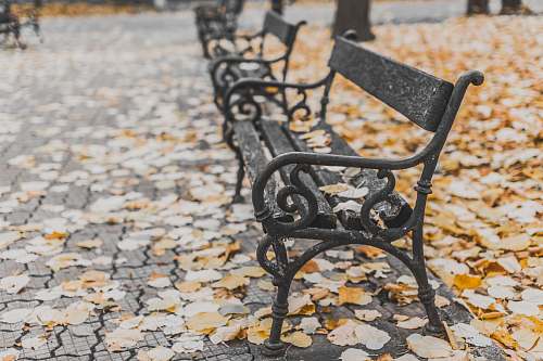 autumn macro shot of black metal bench fall